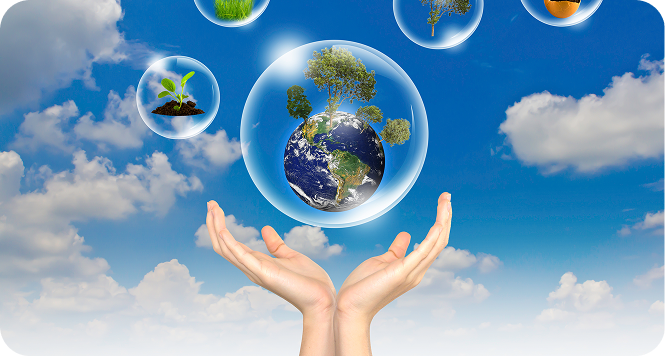 Climate Action Leadership